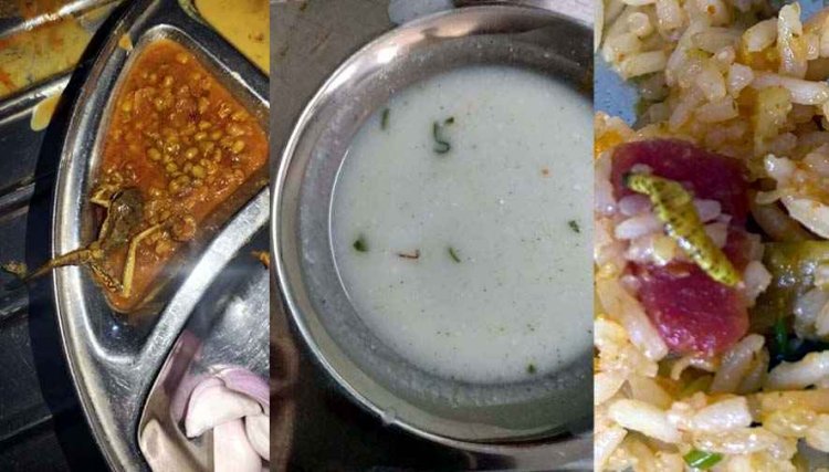मूंग की पकी हुई सब्जी में मिला मेंढक, कॉलेज में मचा हड़कंप, खाद्य सुरक्षा विभाग की टीम ने छापेमार कार्रवाई कर लिया सैंपल, नोटिस जारी