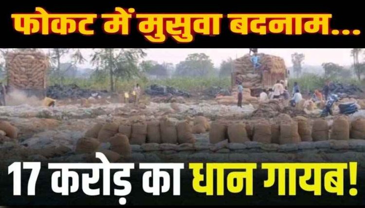 छत्तीसगढ़ में अब यहां संग्रहण केंद्रों में भारी अनियमितता का पर्दाफाश, 17 करोड़ का धान गायब, केंद्र प्रभारी पर गिरी गाज, फिर चूहे होंगे बदनाम!