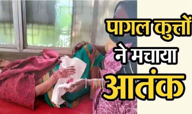 छत्तीसगढ़ में पागल कुत्तों का आतंक, 3 गांवों में 5 लोगों पर किया हमला, अस्पताल में भर्ती, इलाज जारी, ग्रामीणों में डर और आक्रोश का माहौल