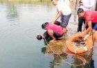 नहाने के दौरान डैम में डूबने से युवक की मौत, गोताखोरों ने 3 घंटे मशक्कत के बाद बाहर निकाला शव, इधर नहर में समाया घर के बाहर खेल रहा तीन साल का मासूम