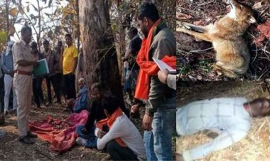 करंट के जाल में फंसा शिकार, युवक की मौत, इलाके में फैली सनसनी, 6 आरोपी गिरफ्तार, सियार की भी गई जान, खतरनाक प्रवृत्ति पर उठे सवाल