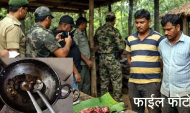 जंगल में हिरण का शिकार, वन विभाग ने दी दबिश, पर्यटन मंडल के रिसार्ट में मिला पका मांस, मैनेजर समेत 4 कर्मचारी गिरफ्तार, आरोपी सप्लायर फरार