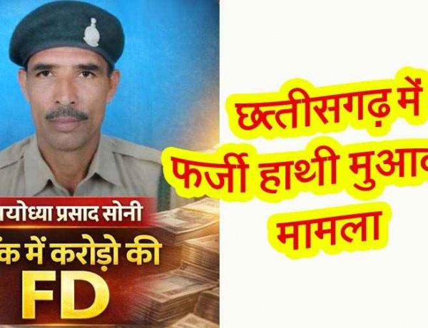 फर्जी हाथी मुआवजा मामला, 50–70 लाख का खेल और सहकारी बैंक में करोड़ों की एफडी! वन परिक्षेत्र में बढ़ा विवाद, कार्यवाही की मांग तेज