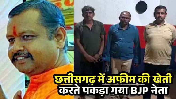 गेहूं-मक्का फसल के बीच अवैध अफीम की खेती का भंडाफोड़, भाजपा नेता विनायक ताम्रकार समेत 3 आरोपी गिरफ्तार, पूर्व सीएम पहुंचे खेत