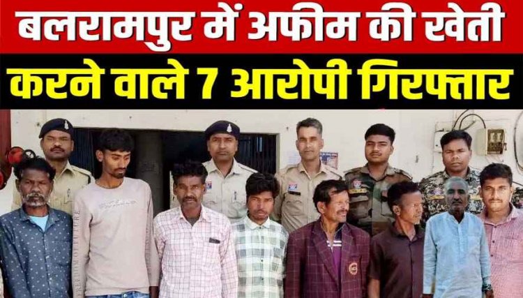 बलरामपुर में अफीम की खेती मामले में अब तक 7 आरोपियों को गिरफ्तार कर भेजा सलाखों के पीछे, चौथा आरोपी राजस्थान से पकड़ाया, जांच जारी