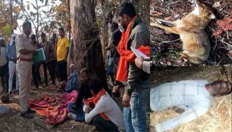 करंट के जाल में फंसा शिकार, युवक की मौत, इलाके में फैली सनसनी, 6 आरोपी गिरफ्तार, सियार की भी गई जान, खतरनाक प्रवृत्ति पर उठे सवाल