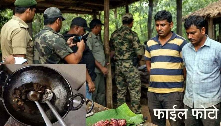 जंगल में हिरण का शिकार, वन विभाग ने दी दबिश, पर्यटन मंडल के रिसार्ट में मिला पका मांस, मैनेजर समेत 4 कर्मचारी गिरफ्तार, आरोपी सप्लायर फरार