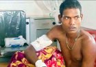 घटारानी में मौत से सामना, दो शावकों के साथ दिखी मादा तेंदुआ, युवक पर तेंदुए का हमला, अस्पताल भर्ती, हालत नाजुक, ​वन विभाग ने जारी किया हाई अलर्ट