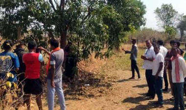 धमतरी डबल डेथ मिस्ट्री, मौहाबाहरा में पेड़ से लटके मिले प्रेमी जोड़े के शव, नाबालिग लड़की के प्रेम संबंध की चर्चा, इलाके में सनसनी, जांच में जुटी पुलिस