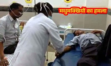 गरियाबंद सोनई रुपई मंदिर में मधुमक्खियों का तांडव, मची चीख-पुकार, प्रसाद छोड़ जान बचाकर भागे 12 से ज्यादा श्रद्धालु, अस्पताल में भर्ती, इलाज जारी