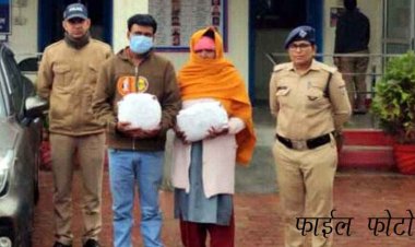 घर की बाड़ी में गांजा का पौधा उगाते पुलिस ने पति-पत्नी को रंगे हाथ किया गिरफ्तार, 10 हजार रुपए के दो दर्जन से ज्यादा पौधे जब्त, NDPS एक्ट के तहत एक्शन