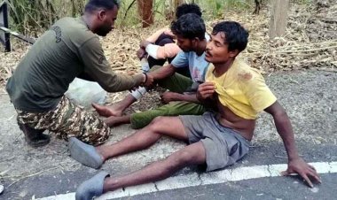 नाले में गिरा धान से भरा तेज रफ्तार ट्रक, दबने से ड्राइवर और कंडक्टर की मौके पर ही दर्दनाक मौत, 10 मजदूर घायल, घायलों का अस्पताल में इलाज जारी