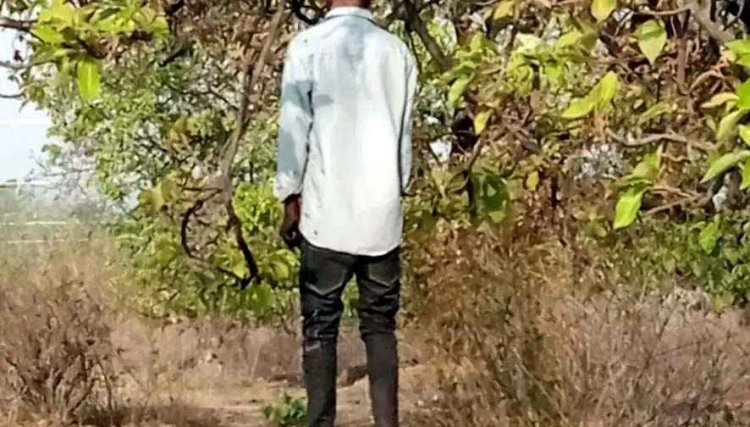 आम के पेड़ पर झूलती मिली लापता युवक की लाश, इलाके में फैली सनसनी, परिजनों में शोक की लहर, आत्महत्या य कुछ और?, जांच में जुटी पुलिस