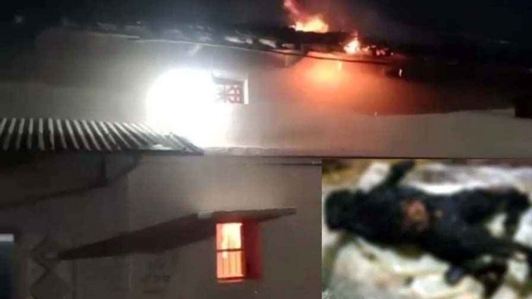 महासमुंद में दिल दहला देने वाली वारदात, छोटे भाई ने मां के सामने बड़े भाई को जिंदा जलाया, मचा हड़कंप, जमीन विवाद में आरोपी दौलत गिरफ्तार