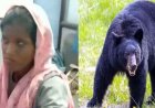 भालू मचा रहा आतंक, मक्का तोड़ने गई युवती पर किया हमला, जिला अस्पताल रेफर, ग्रामीणों में दहशत का माहौल, वन विभाग ने किया सतर्क रहने की अपील