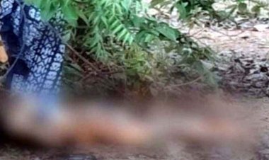 डैम के पास युवती की मिली अर्धनग्न लाश, गले और गर्दन के पीछे धारदार हथियार से वार, चेहरे को पत्थर से कुचला, नहीं हुई शिनाख्त, जांच में जुटी पुलिस