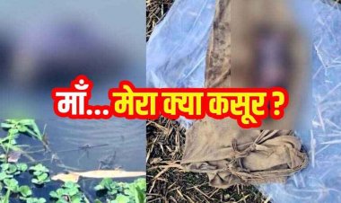कलयुगी मां ने 2 दिन की नवजात बच्ची को तालाब में जिंदा फेंका, दम घुटने से मौत, हत्या का केस दर्ज, अवैध संबंध का खौफनाक नतीजा!