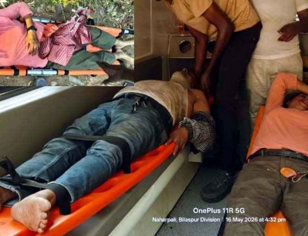 छत्तीसगढ़ की गुफा में शोध के दौरान मधुमक्खियों का हमला, साइंटिस्ट-रिसर्चर और वनकर्मी घायल, अस्पताल में भर्ती, मौके पर मची अफरा-तफरी