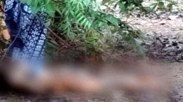 डैम के पास युवती की मिली अर्धनग्न लाश, गले और गर्दन के पीछे धारदार हथियार से वार, चेहरे को पत्थर से कुचला, नहीं हुई शिनाख्त, जांच में जुटी पुलिस
