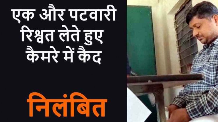 कब सुधरेगी व्यवस्था! रिश्वत की रकम गिनते पटवारी का वीडियो हुआ वायरल, एसडीएम ने किया सस्पेंड की कार्रवाई, जमीन का वन पट्टा ऑनलाइन करने मांगी घूस