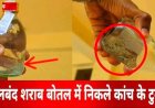 देशी दुकान से युवक ने खरीदा पौवा, सीलबंद शराब की बोतल में निकले कई कांच के टुकड़े, कांग्रेस बोली- लोगों की जान से खिलवाड़, वीडियो जमकर वायरल