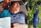 देवभोग में भीषण सड़क हादसा, सड़क किनारे लगे साइनबोर्ड से टकराई बाइक, चालक की मौके पर मौत, एक युवक घायल, हालत नाजुक, इलाज जारी