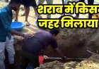 शराब में मिलाया जहर, 8 लोगों को पिलाया, सभी की मौत, गांव पहुंची FSL टीम, परिक्षण के लिए दफन शवों को निकालकर जांच शुरु, इलाके में तनाव का माहौल