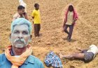 जमीन विवाद में किसान को उतारा मौत के घाट, खेत में पीटने के बाद ट्रैक्टर से कुचलने का आरोप, 8 आरोपी गिरफ्तार, वाहन जब्त, इलाके में आक्रोश का माहौल