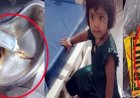 फ्रूटी के पाउच में मिला संदिग्ध अवशेष, पीने के बाद दो साल के मासूम बच्ची की बिगड़ी तबीयत, अस्पताल में भर्ती, करेली में मचा हड़कंप, कार्यवाही की मांग