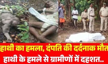 दल से भटके हाथी ने मचाया आतंक, जंगल गए दंपती पर दंतैल ने किया हमला, पति-पत्नी को कुचलकर उतारा मौत के घाट, इलाके में दहशत का माहौल