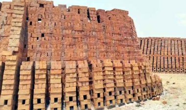 महानदी किनारे ईंट भट्ठों पर उठे सवाल : सरकारी जमीन पर चल रहे दर्जनों भट्ठे, जांच के निर्देश, ग्रामीणों और पंचायत प्रतिनिधियों ने जताई गंभीर आपत्तियां