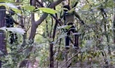 गरियाबंद के जंगल में पेड़ पर लटका मिला अज्ञात युवक का शव, इलाके में फैली सनसनी, आत्महत्या या कुछ और? जांच में जुटी पुलिस