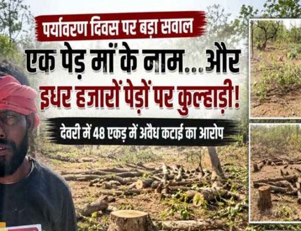 पर्यावरण दिवस पर उठ रहा बड़ा सवाल, ‘एक पेड़ मां के नाम’ और इधर हजारों पेड़ों पर चल रही कुल्हाड़ी, देवरी में 48 एकड़ जमीन पर अवैध कटाई का आरोप
