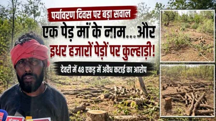 पर्यावरण दिवस पर उठ रहा बड़ा सवाल, ‘एक पेड़ मां के नाम’ और इधर हजारों पेड़ों पर चल रही कुल्हाड़ी, देवरी में 48 एकड़ जमीन पर अवैध कटाई का आरोप