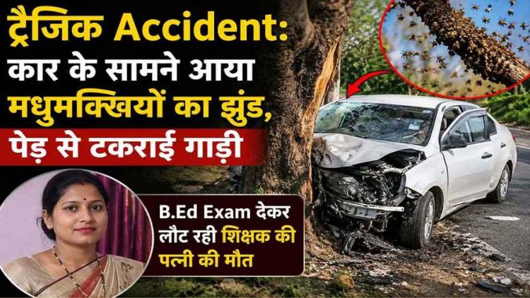 कार के सामने आया मधुमक्खियों का झुंड, पेड़ से टकराई गाड़ी, B.Ed Exam देकर लौट रही शिक्षक की पत्नी की मौत, बाल-बाल बचे परिवार के बाकी सदस्य