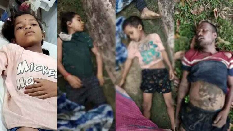 आम बीनते वक्त दर्दनाक हादसा, बिजली गिरने से बारिश से बचने पेड़ के नीचे खड़े दो बच्चों समेत तीन की मौत, बच्ची झुलसी, दहशत और शोक का माहौल