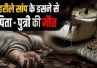 काल बनी जमीन की नींद, सांप काटने से पिता-बेटी व मौसी के साथ सो रही 13 वर्षीय बच्ची की मौत, अस्पताल ले जाने के बजाय झाड़फूंक करवाते रहे परिजन