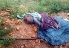 आसमानी बिजली गिरने से किसान की मौत, खेत में धान की रोपाई करते समय हादसा, शहर में दिन भर रूक-रूककर जमकर हो रही बारिश
