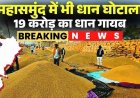 महासमुंद धान फर्जीवाड़ा : कागजों में 18 करोड़ का स्टॉक, हकीकत में फड़ खाली, 54 में से सिर्फ 2 पर FIR, बाकी 52 प्रभारियों को मिली छूट!