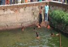 रायपुर में बड़ा दर्दनाक हादसा : खेलते-खेलते गहरे पानी में डूबे दो मासूम, 25 फीट गहरी चतुर्भुजी मंदिर की बावड़ी में डूबने से 2 बच्चों की मौत, पसरा मातम