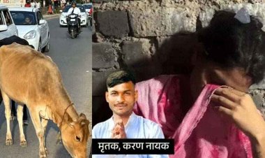 इकलौता कमाऊ बेटा, दो साल पहले हुई शादी, पत्नी गर्भवती, गाय से टकराकर गिरा बाइक से गिरा युवक, कार की चपेट में मौत, दुसरा घायल, पसरा मातम