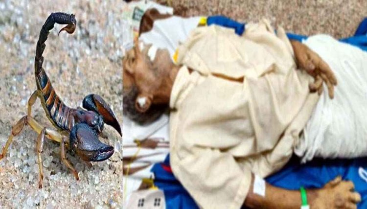 जहरीले बिच्छू ने छीनी खेत में काम करते वक्त किसान की जिंदगी, एक डंक और सब खत्म!, इलाज के दौरान तोड़ा दम, धमतरी से सामने आई दर्दनाक घटना