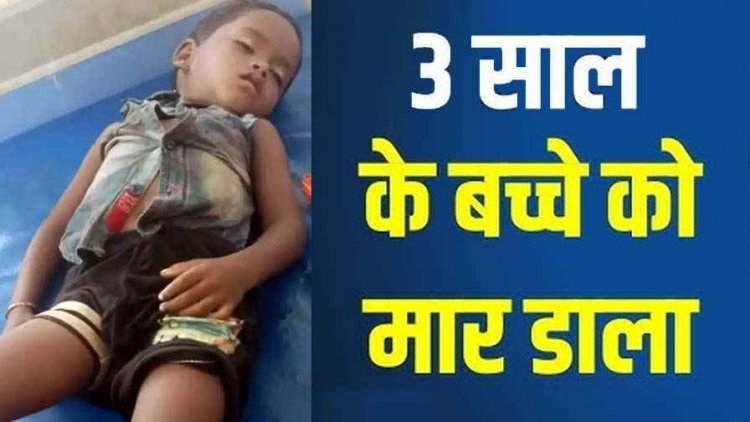 परिवार के बीच सो रहे 3 वर्षीय मासूम की आधी रात जहरीला सांप के काटने से गई जान, इलाज से पहले ही तोड़ दिया दम, पोस्टमार्टम रिपोर्ट से होगा खुलासा