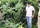 6 दिन से लापता महिला का कबीरधाम के जंगल में मिला कंकाल, पेड़ से बंधी मिली साड़ी, चूड़ियों से हुई पहचान, फैली सनसनी, फोरेंसिक जांच में जुटी पुलिस