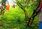 धार्मिक नगरी के हनुमान मंदिर परिसर में 70 वर्षीय बुजुर्ग ने पूजा-पाठ के बाद अज्ञात कारणों से फांसी लगाकर की आत्महत्या, जांच में जुटी पुलिस