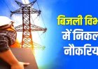 छत्तीसगढ़ बिजली कंपनी में बंपर भर्ती, 1235 पदों पर होगी नियुक्ति; डाटा एंट्री ऑपरेटर समेत कई पद शामिल, जानिए कौन-कौन से पदों पर होंगी नियुक्तियां