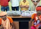 गरियाबंद पुलिस ने दो करोड़ रुपये के गांजे के साथ पांच तस्कर गिरफ्तार, इधर दो तस्करों को आरपीएफ ने पकडा, 7.77 लाख का अवैध गांजा जब्त
