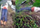 पेड़ के आसपास सफाई करने के दौरान खेत में करंट की चपेट में आने से युवक की मौत, हादसे के बाद से गांव में शोक का माहौल, जांच में जुटी आरंग पुलिस