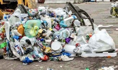 नगर निगम के सभी पार्षदों ने नागरिकों से वृक्ष काटने वालों और सार्वजनिक कचरा फेंकने वालों की जानकारी देने किया अपील, कड़ी कार्रवाई की मांग