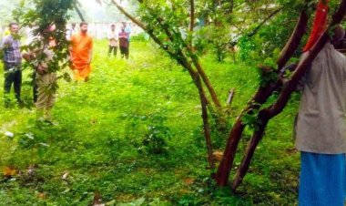 धार्मिक नगरी के हनुमान मंदिर परिसर में 70 वर्षीय बुजुर्ग ने पूजा-पाठ के बाद अज्ञात कारणों से फांसी लगाकर की आत्महत्या, जांच में जुटी पुलिस